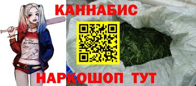 молекула духа Камышлов