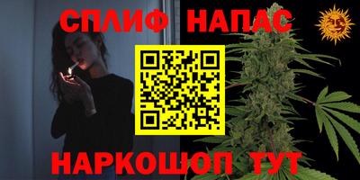 молекула духа Камышлов
