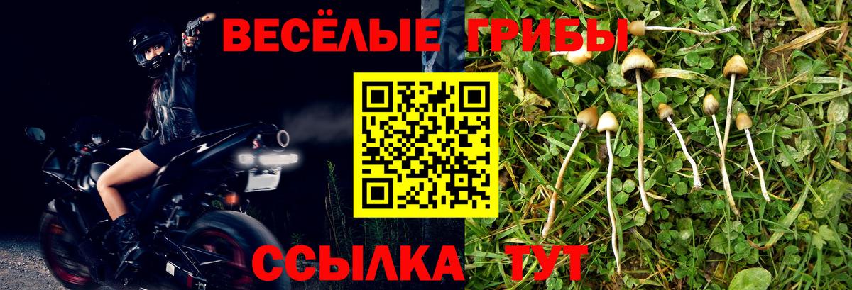 Кудымкар  Галлюциногенные грибы MAGIC MUSHROOMS  Вход с VPN  Галлюциногенные грибы ЛСД 