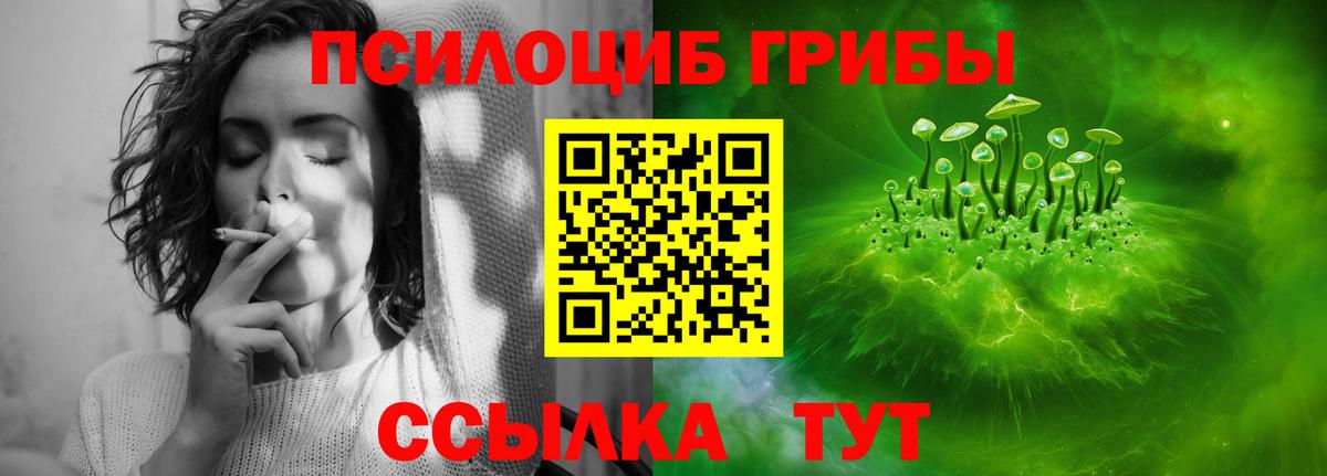 Псилоцибиновые грибы Magic Shrooms Кудымкар